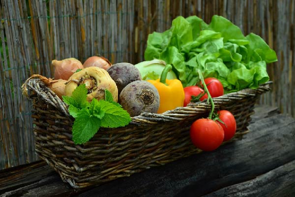 panier de légumes